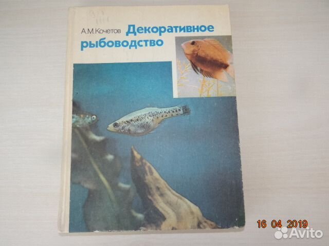 Декоративное рыбоводство