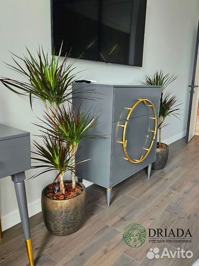 Озеленение квартиры