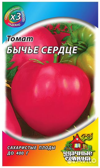 Рассада помидор