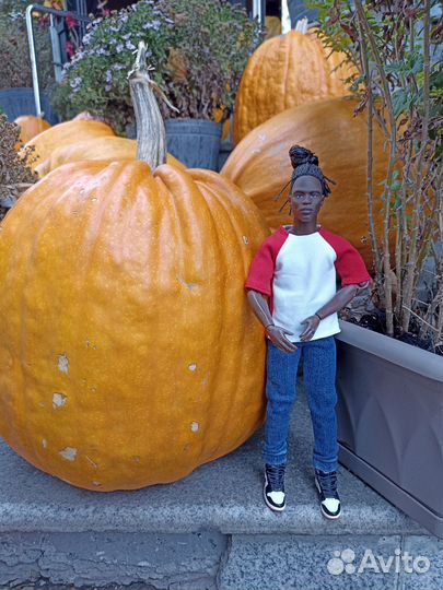 Одежда для кена