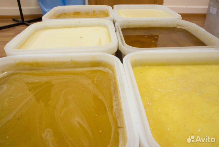 Мед натуральный из Алтая опт