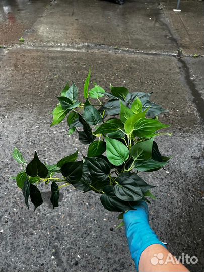 Зелень искуственная для декора