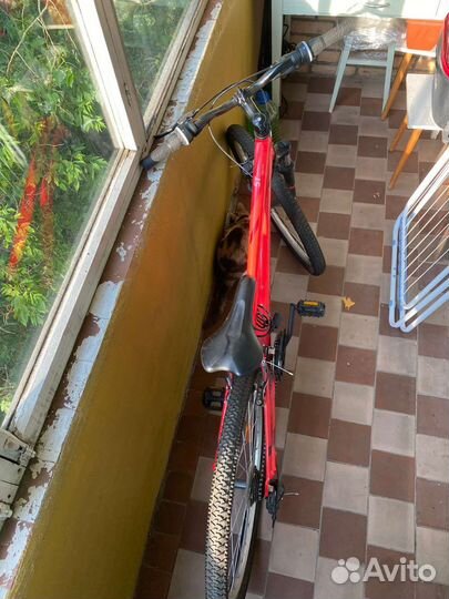 Велосипед горный Rockrider st 100