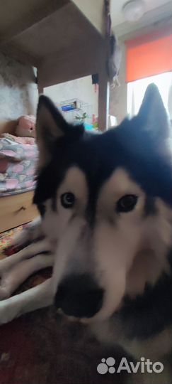 Кабель для вязки