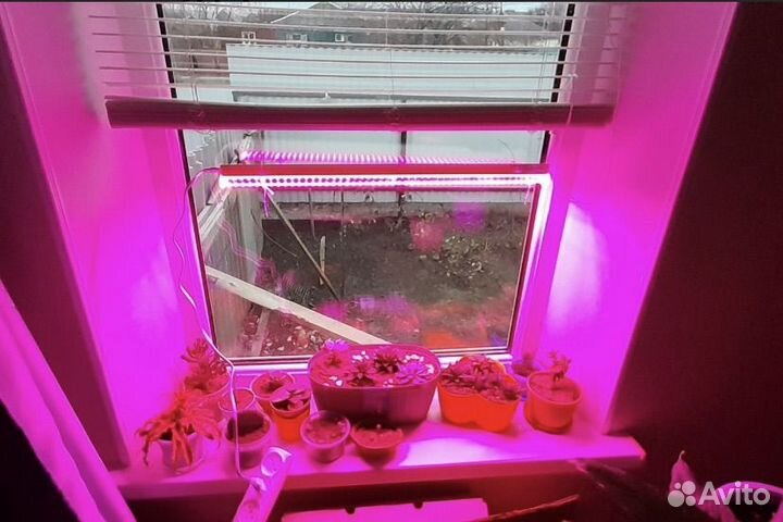 Светодиодный светильник/лампа для рассады цветов