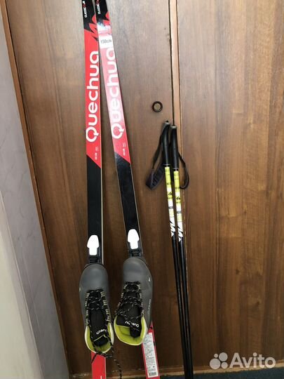 Беговые лыжи