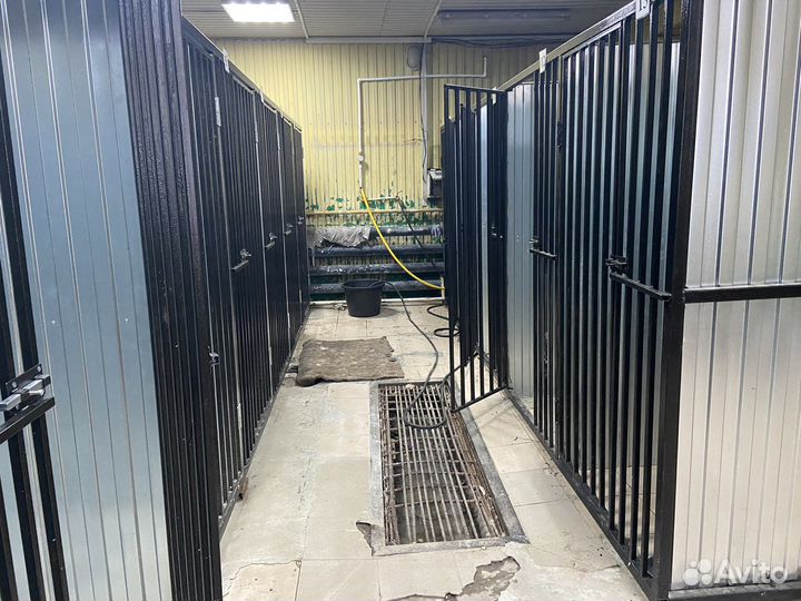 Передержка животных