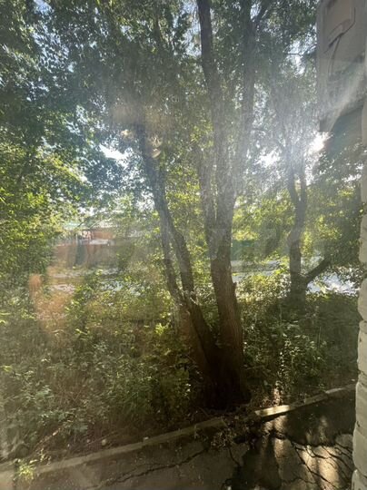 1-к. квартира, 18,7 м², 1/4 эт.