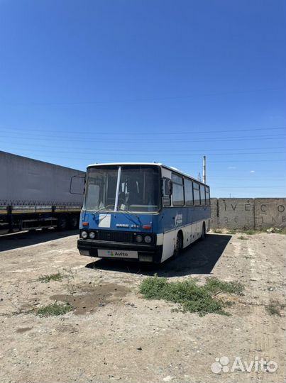 Междугородний / Пригородный автобус Ikarus 256, 2001