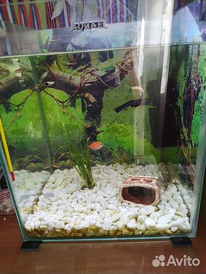Аквариум