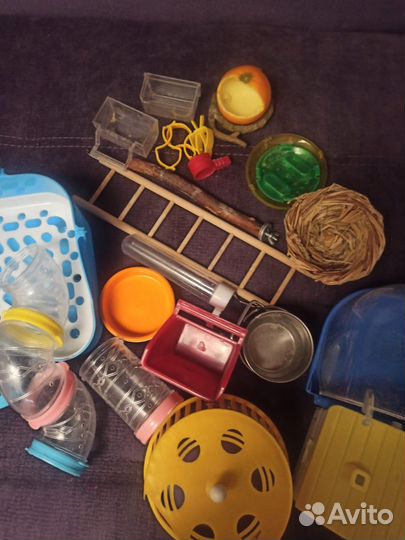 Аксессуары для животных