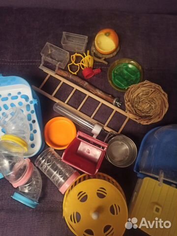 Аксессуары для животных