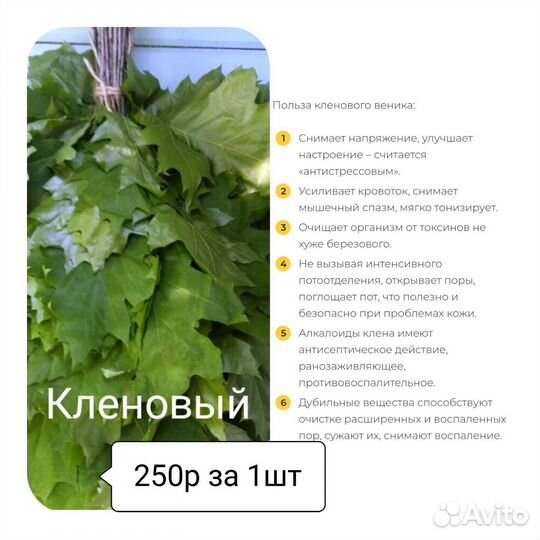 Веники для бани,березовые вен,дуб вен, запарки