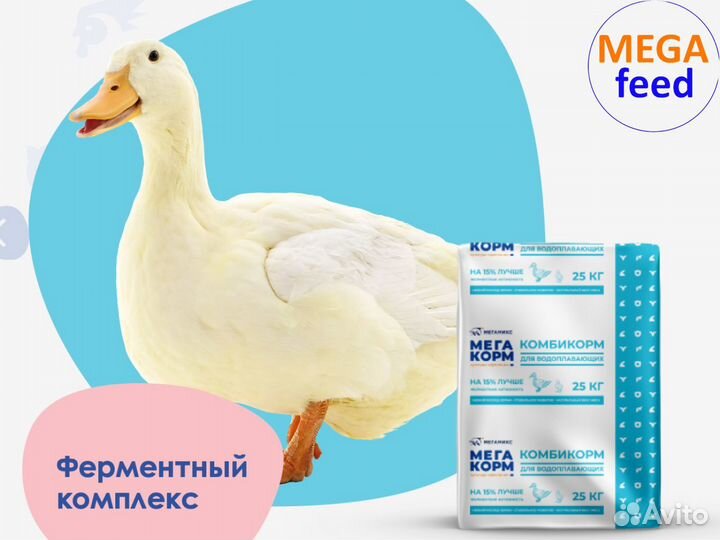 Мегакорм комбикорм для с/х животных птиц