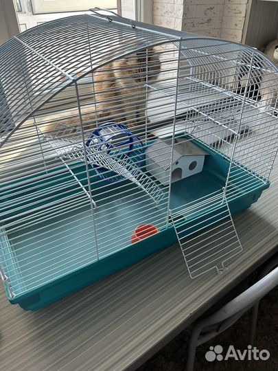 Клетка для грызунов