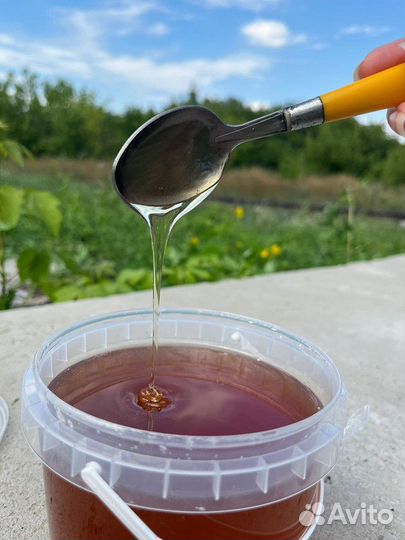 Мёд цветочный