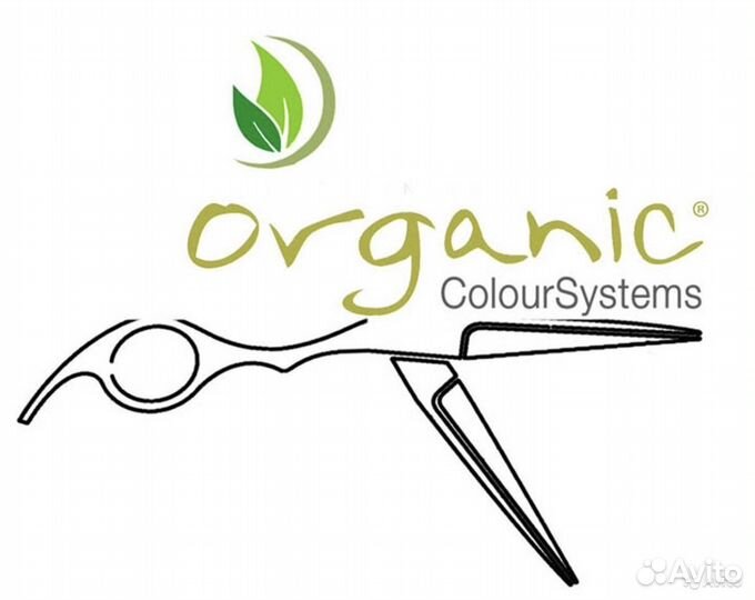 Администратор