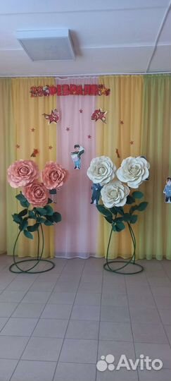Ростовые цветы, аренда и продажа