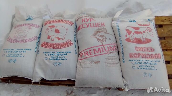 Пшеница ячмень в мешках