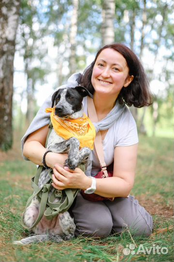 Щенок из приюта