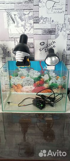 Аквариум