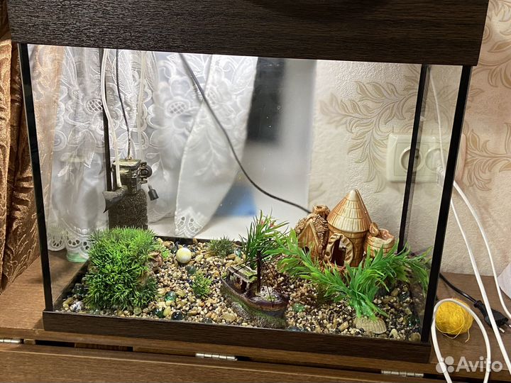 Аквариум для рыбок