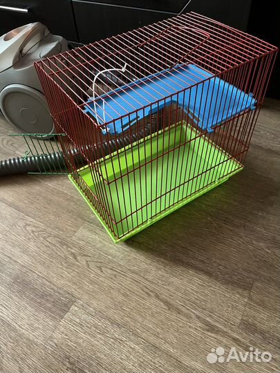 Клека для грызунов