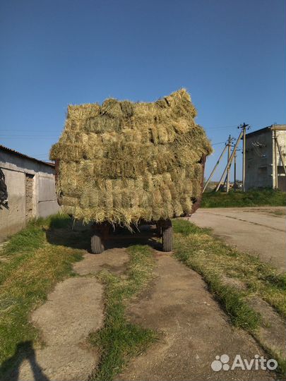 Сено в тюках