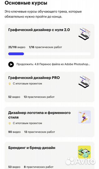 Курс skillbox графический дизайн