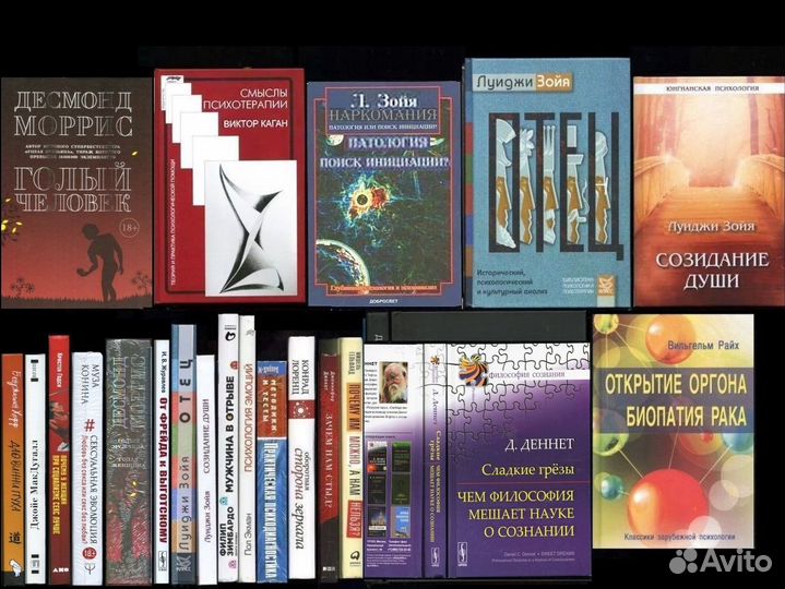 Гроф Берн Шелер Зойя / пр. психология