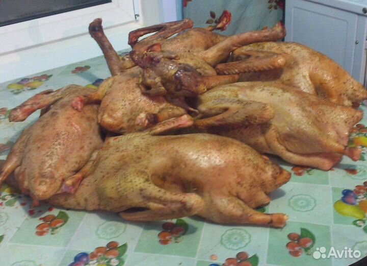 Мясо гуся и утки