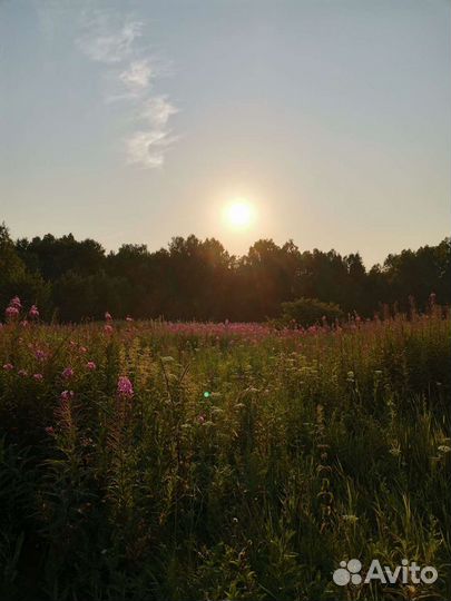 Мед Окунево