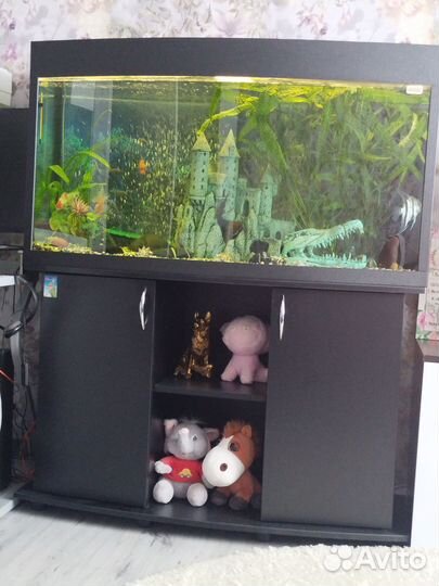 Аквариум