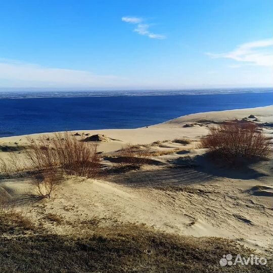 Экскурсии по Калининграду и Калининградской област