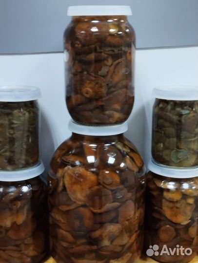 Грибы рыжики соленые