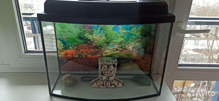 Аквариум
