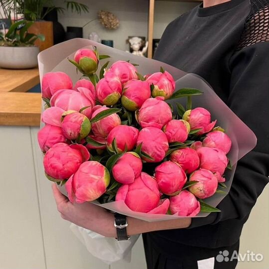 Розы цветы доставка 25 35 51 101