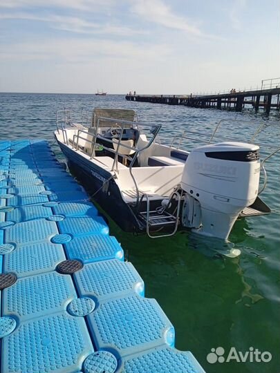 Прогулочный катер с мотором Suzuki DF300APX