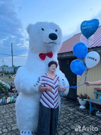 Шикарный мишка