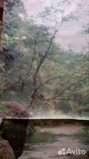 Фотообои немецкие бумажные