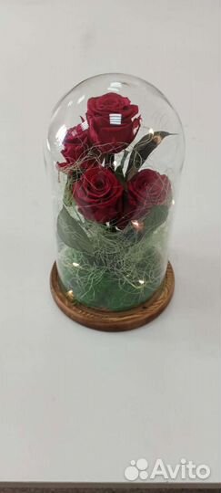 Роза в колбе (живет 5 лет) + подсветка