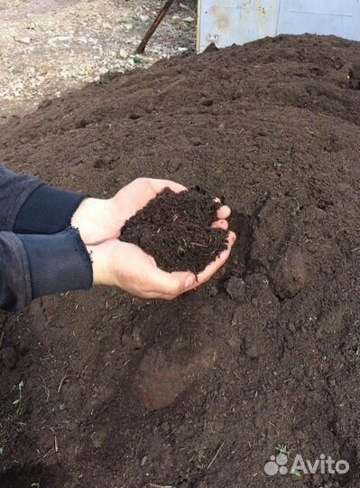 Чернозем торф