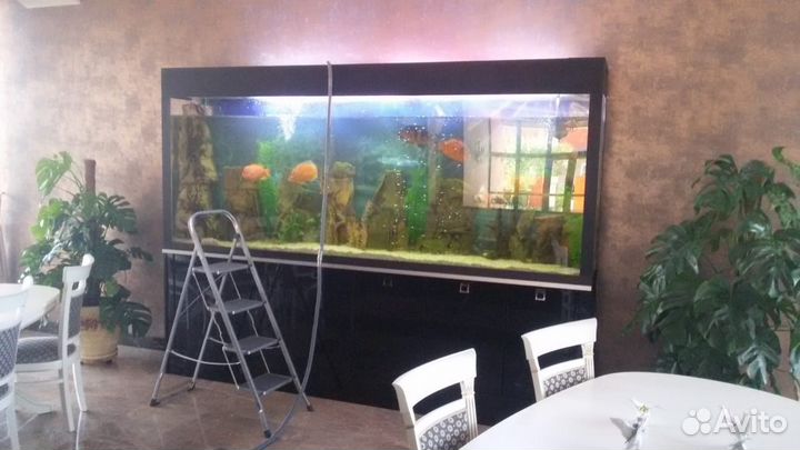 Обслуживание Аквариумов