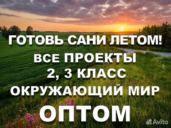 Готовые проекты пакетом на год 2 3класс окружающий