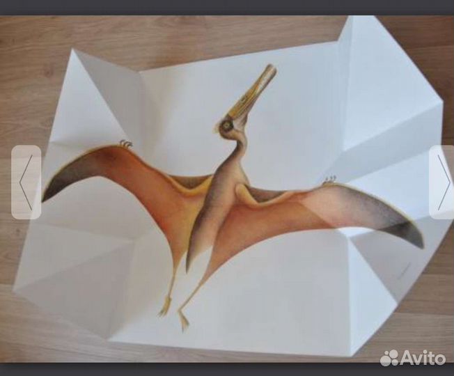 Детские книги Дивнозавры. Пито. Жерве