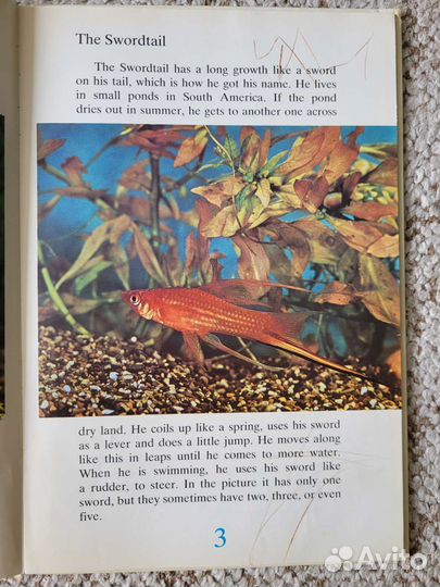 В. Дацкевич 