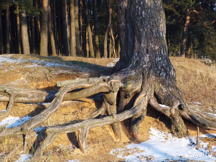 Предметы интерьера