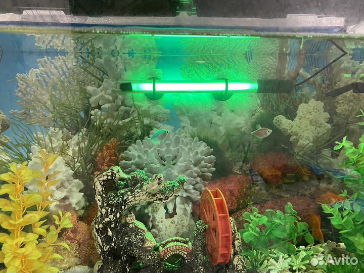 Аквариум с рыбками