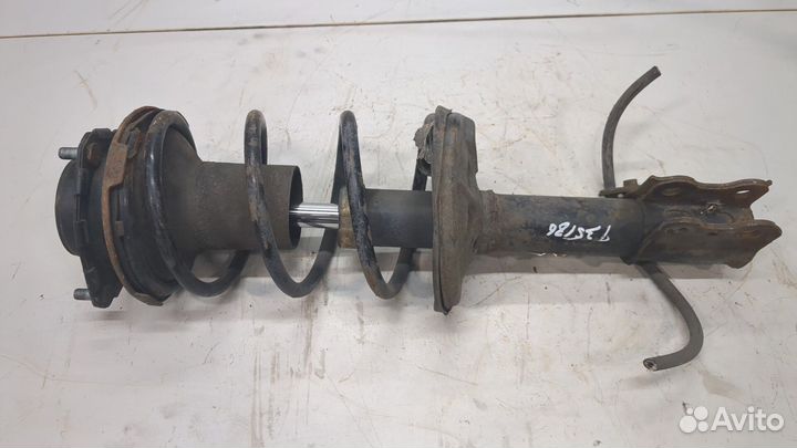 Амортизатор подвески Hyundai i20, 2009