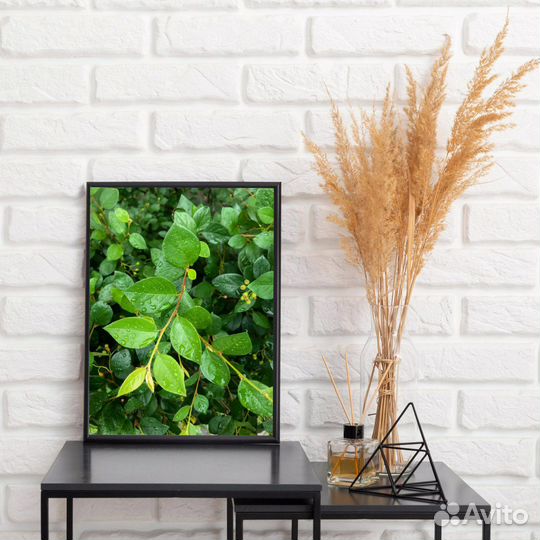 Интерьерные постеры 30*40 см